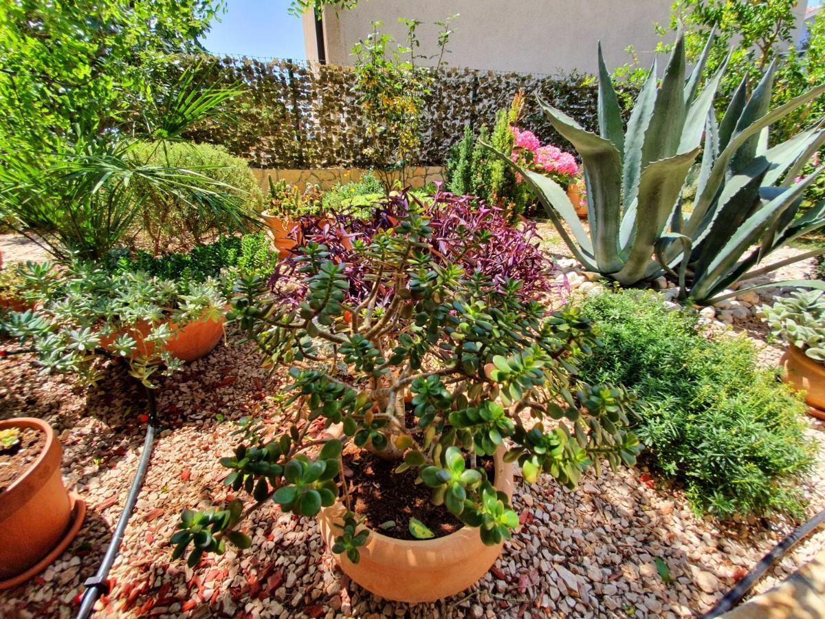שיבניק Apartment Tonka מראה חיצוני תמונה